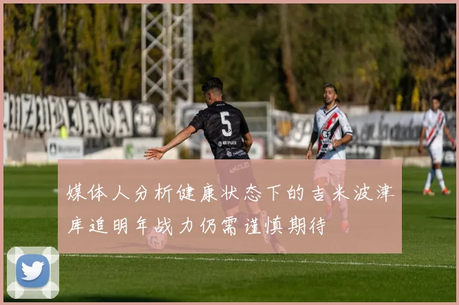 媒体人分析健康状态下的吉米波津库追明年战力仍需谨慎期待